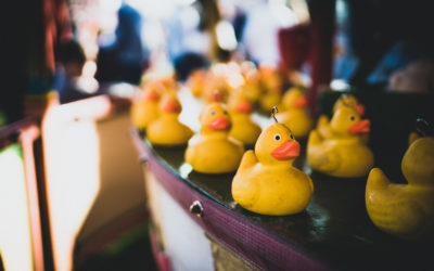 The fair in focus, as seen by photographer Graeme Worsfold