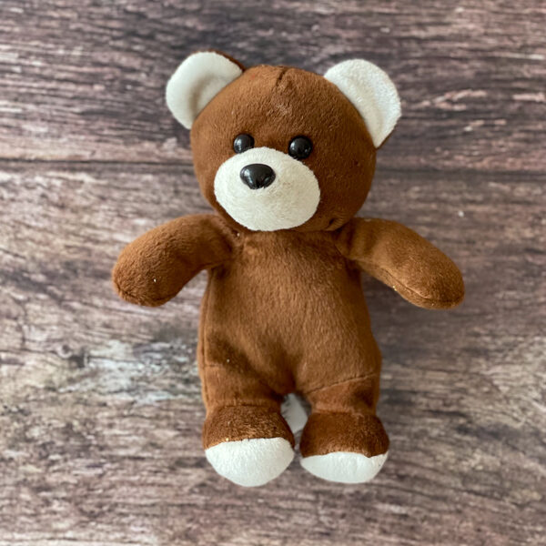Small Brown Ted