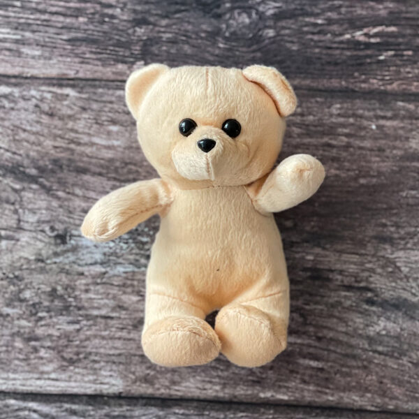 Small Beige Ted